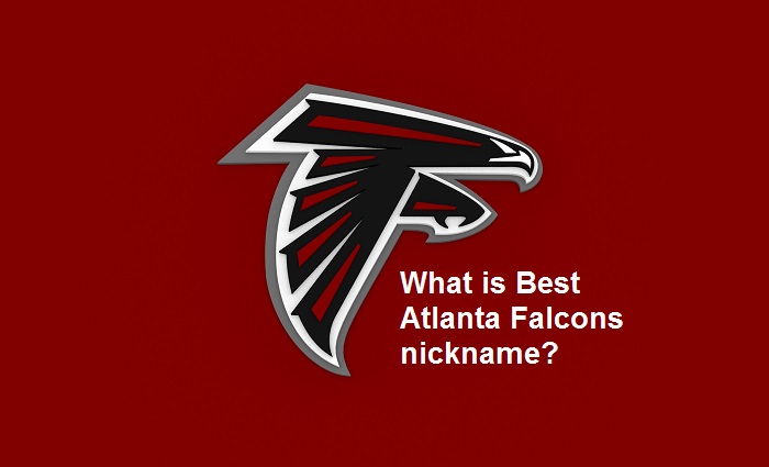 What is Best Atlanta Falcons nickname?