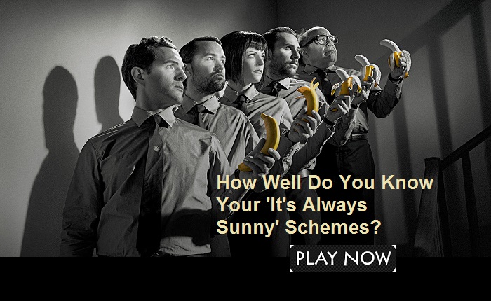 How Well Do You Know Your 'It's Always Sunny' Schemes?