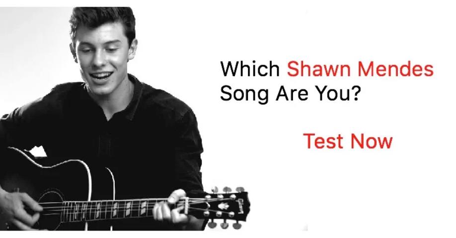 Which Shawn Mendes Song Are You