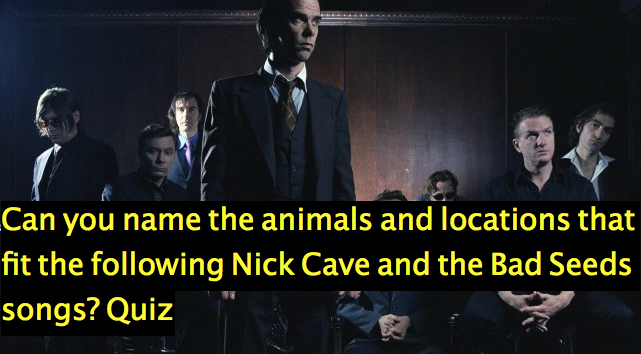 Can you name the animals and locations that fit the following Nick Cave and the Bad Seeds songs? Quiz