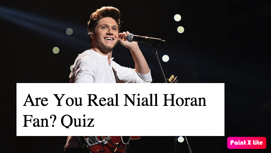 Are You Real Niall Horan Fan? Quiz