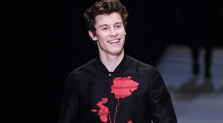 Which Shawn Mendes Song Best Describes Your Love Life? Quiz